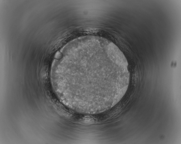 X0000114420608200911131452