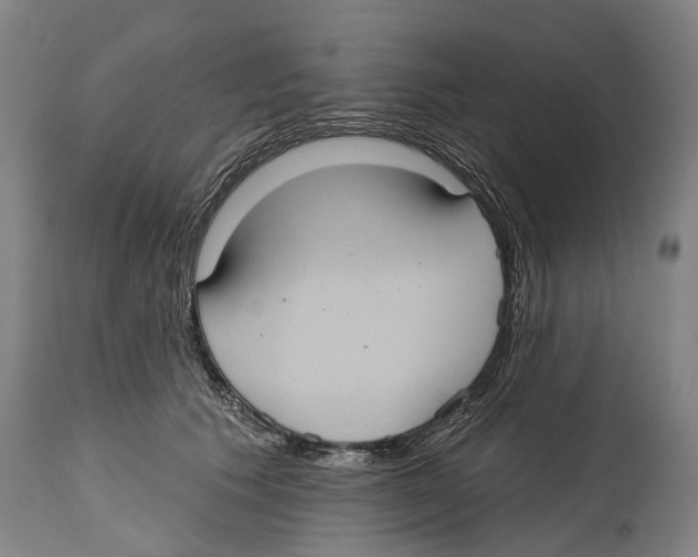 X0000114420609200911131452