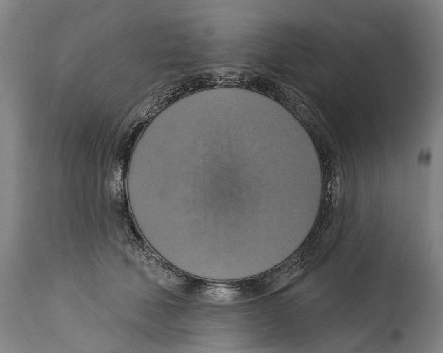 X0000114420610200911131452