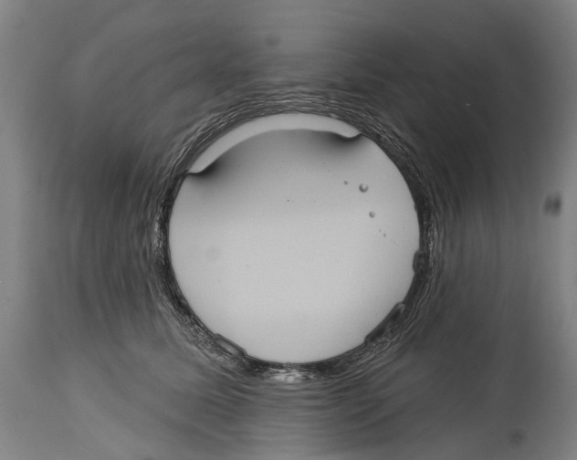 X0000114420611200911131452