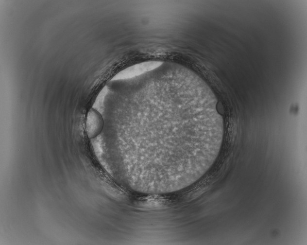 X0000114420612200911131452