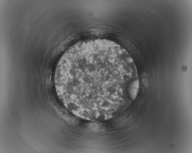 X0000114420615200911131452