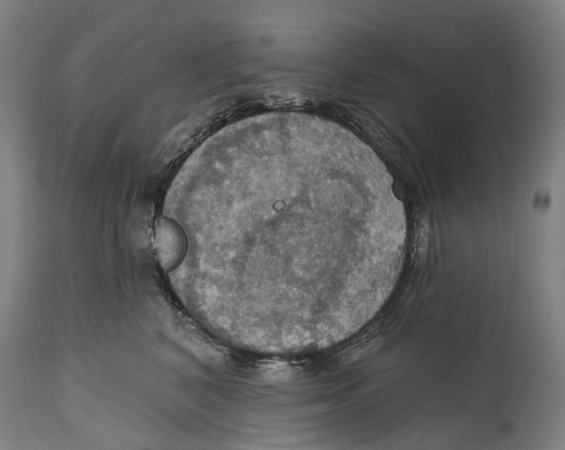 X0000114420616200911131452