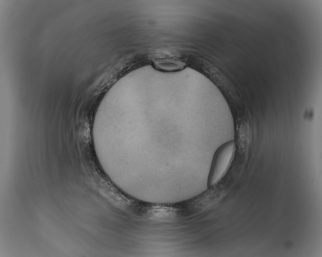 X0000114420617200911131452