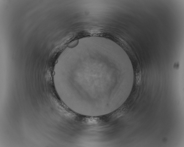 X0000114420618200911131452