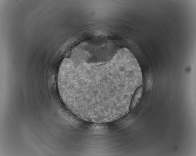 X0000114420619200911131452