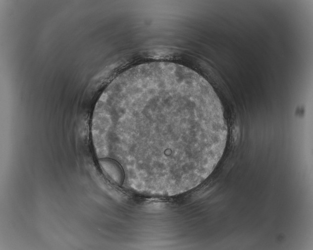 X0000114420620200911131452