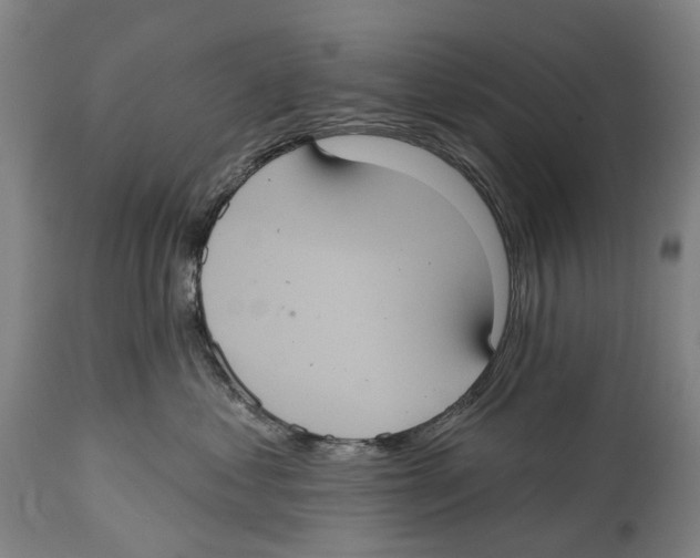 X0000114420621200911131452