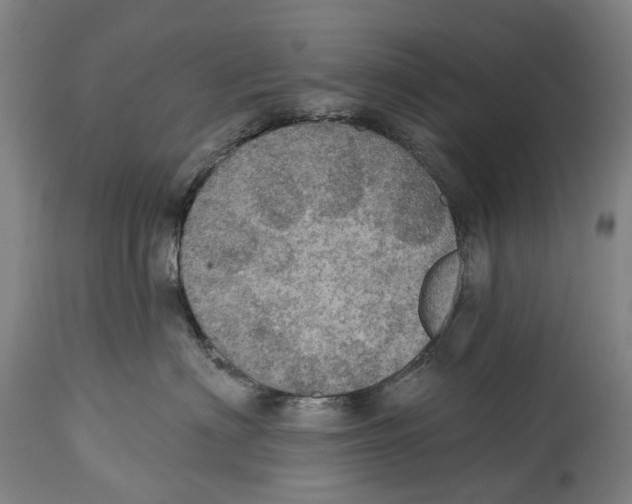 X0000114420622200911131452