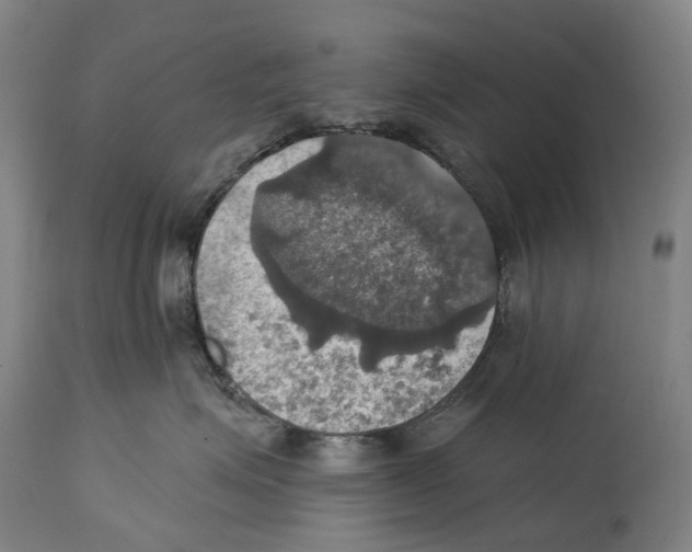 X0000114420623200911131452