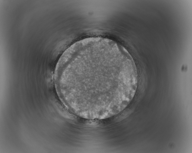 X0000114420624200911131452