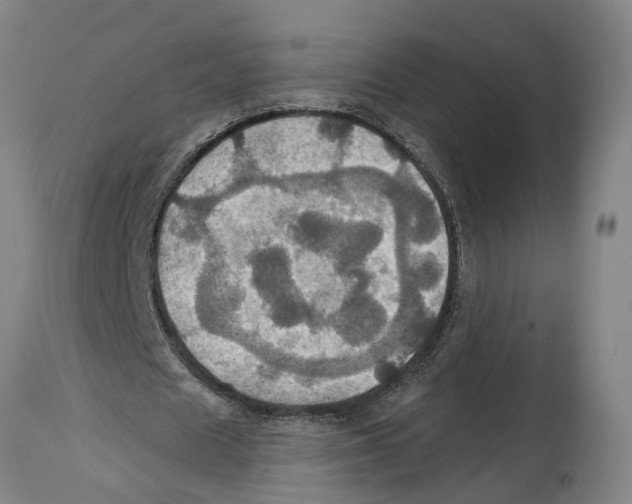 X0000114420625200911131451