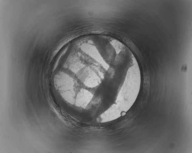 X0000114420626200911131451