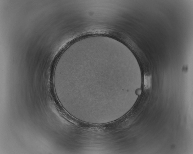 X0000114420627200911131451