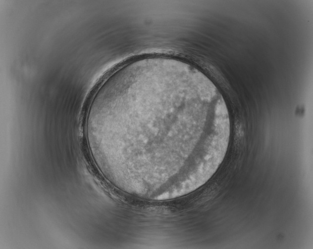 X0000114420628200911131451