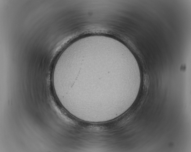 X0000114420629200911131451