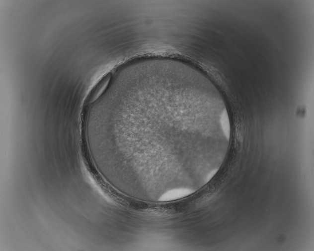 X0000114420630200911131451