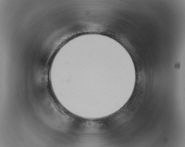 X0000114420632200911131451