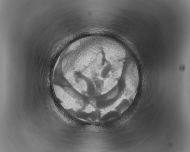 X0000114420633200911131451