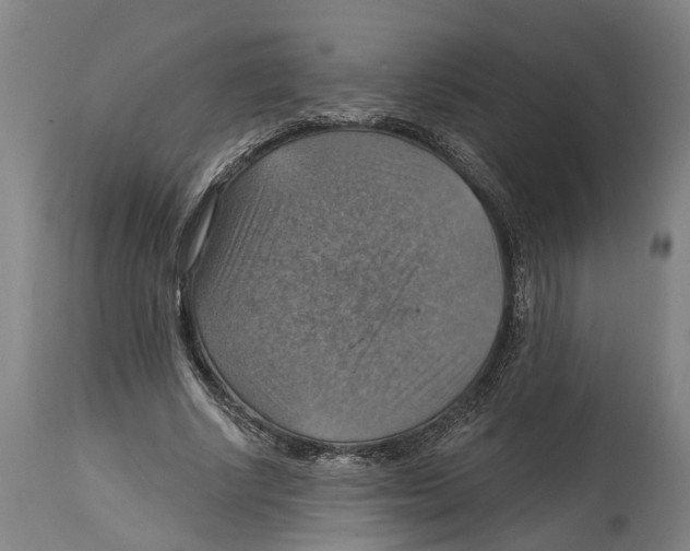 X0000114420634200911131451