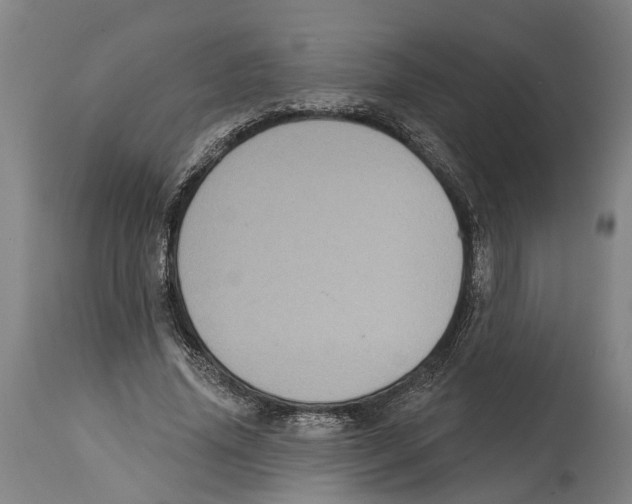 X0000114420636200911131451