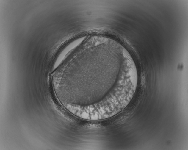 X0000114420637200911131451