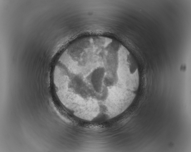 X0000114420638200911131451