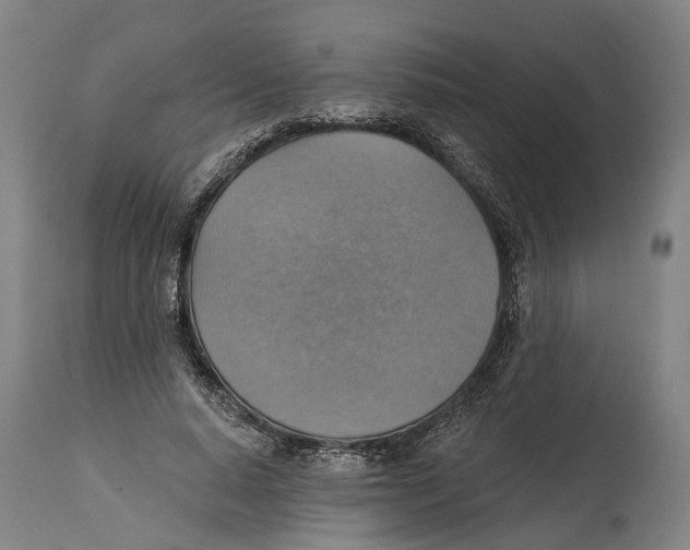 X0000114420640200911131451