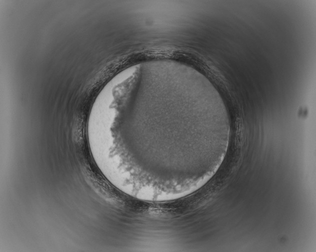 X0000114420641200911131451