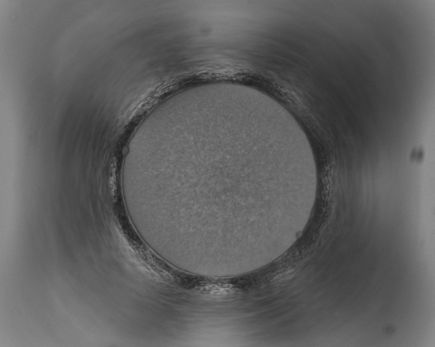 X0000114420642200911131451