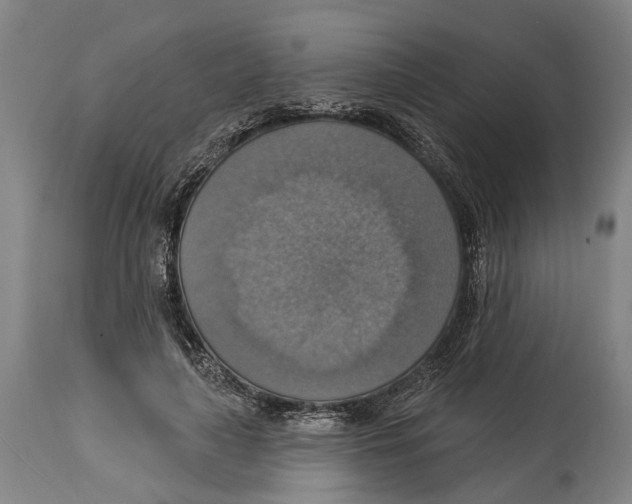 X0000114420643200911131451