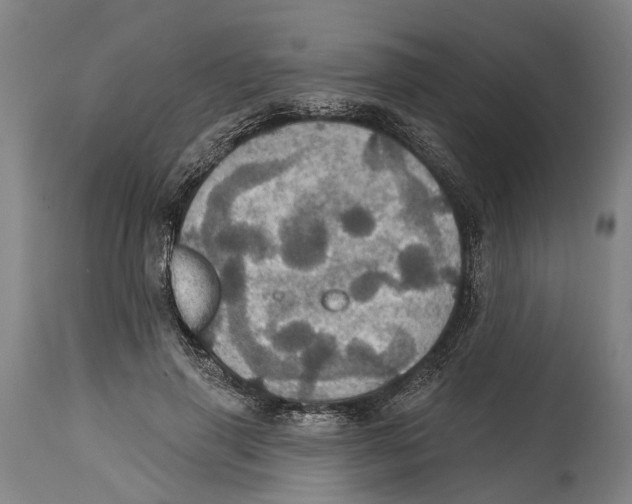 X0000114420645200911131451