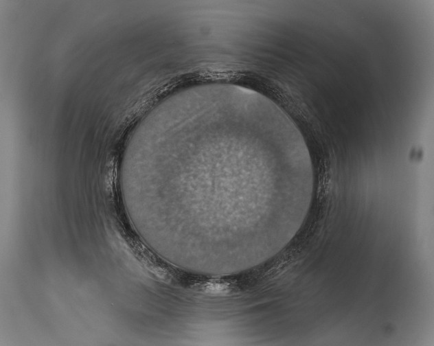 X0000114420647200911131451