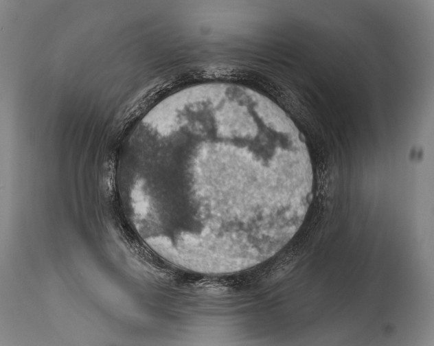 X0000114420648200911131451