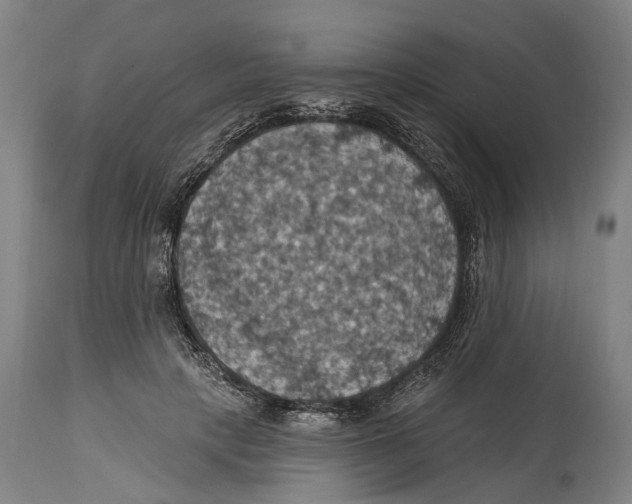 X0000114420649200911131452