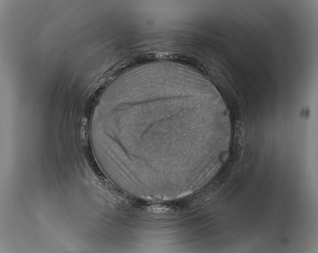 X0000114420650200911131452