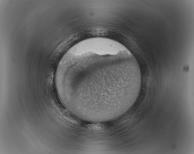 X0000114420652200911131452