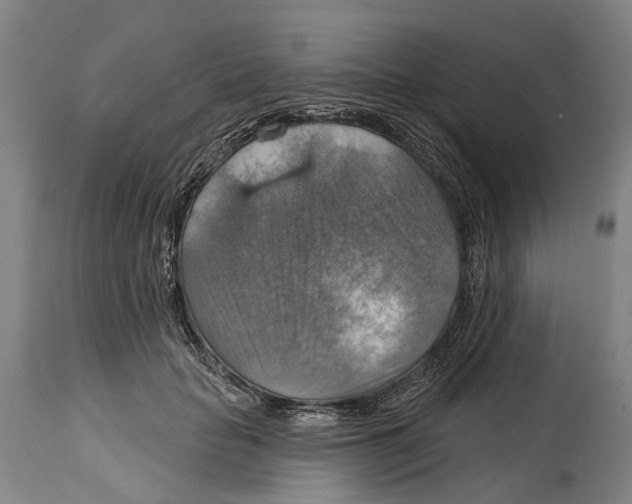 X0000114420653200911131452