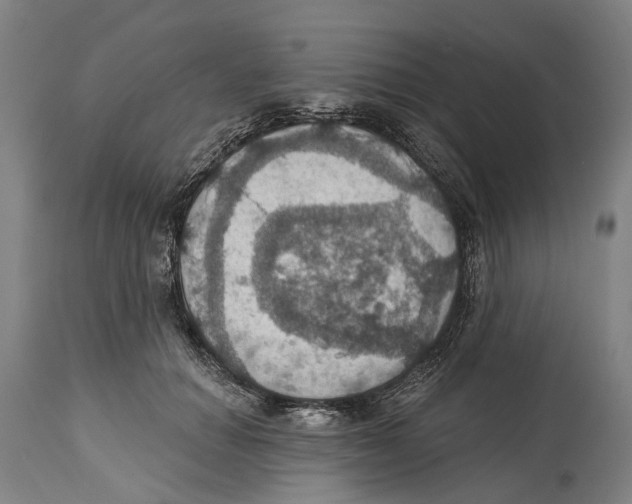 X0000114420654200911131452