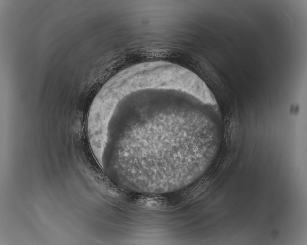 X0000114420655200911131452