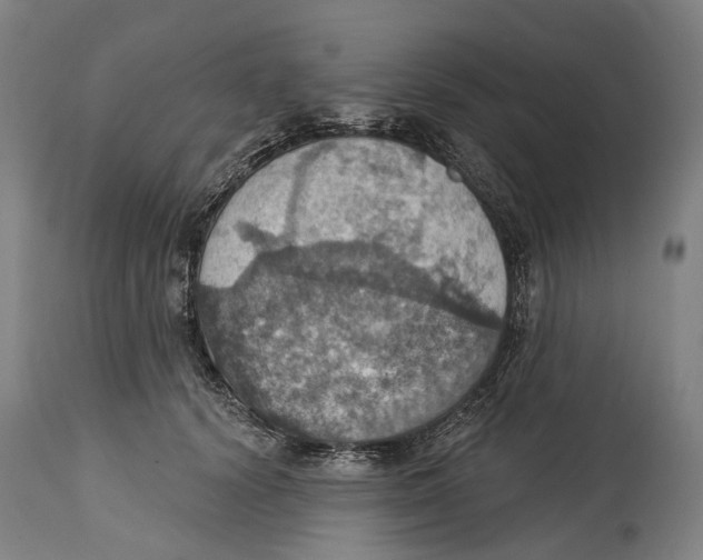 X0000114420656200911131452