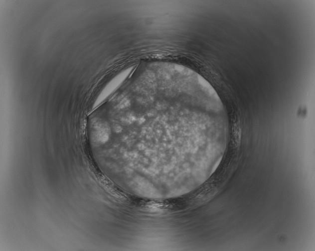 X0000114420657200911131452