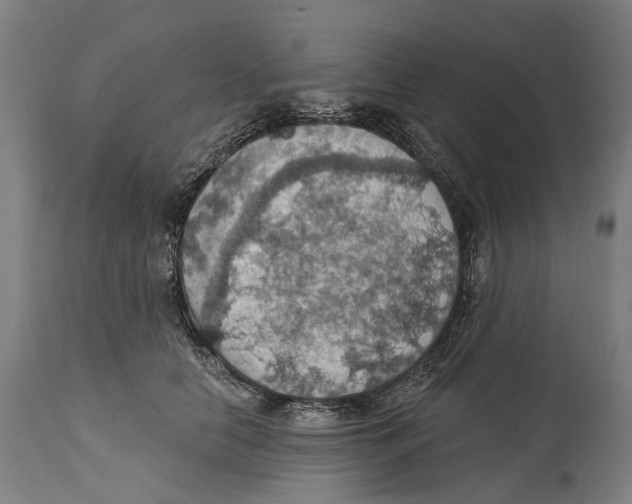 X0000114420658200911131452