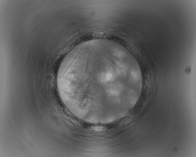 X0000114420659200911131452