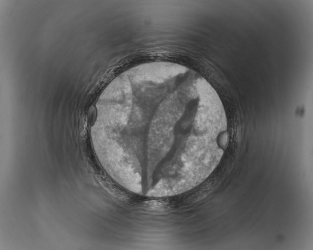 X0000114420660200911131452