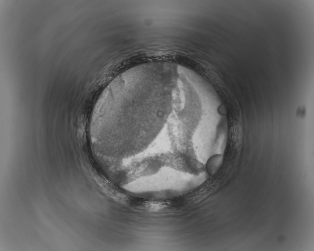 X0000114420662200911131452