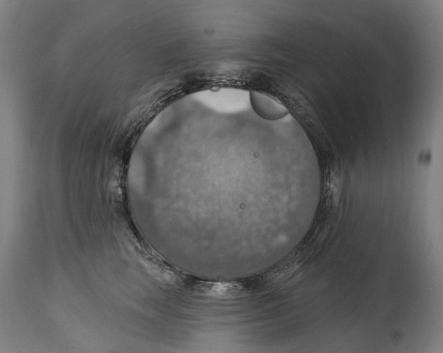 X0000114420663200911131452