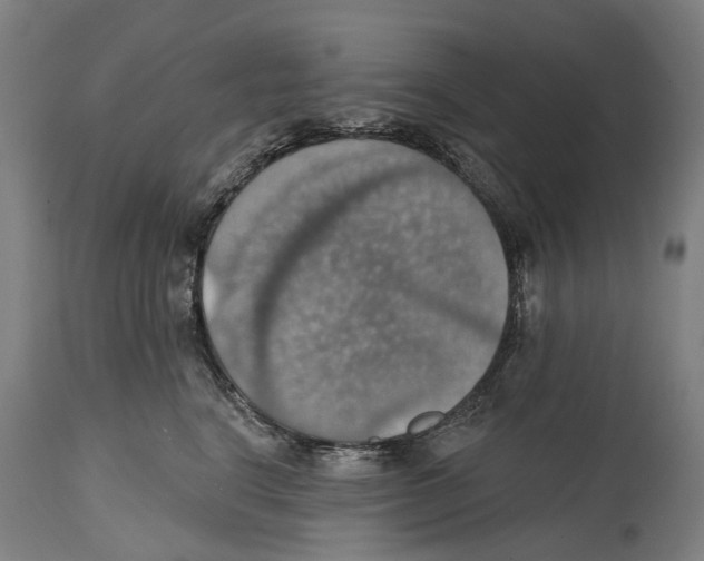 X0000114420664200911131452