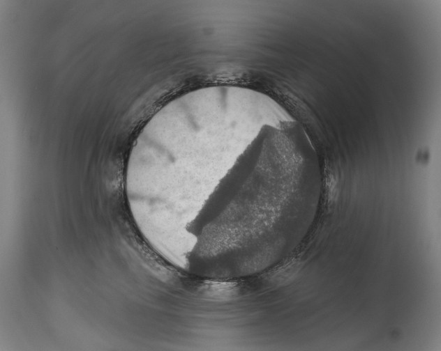 X0000114420665200911131452