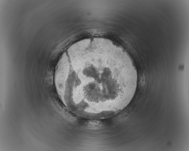 X0000114420666200911131452